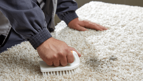 Professional Rug Cleaning Hurstbridge